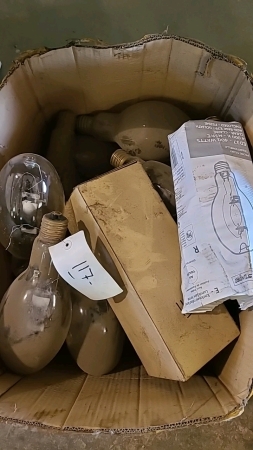 Lot of 400W Clear Light Bulbs