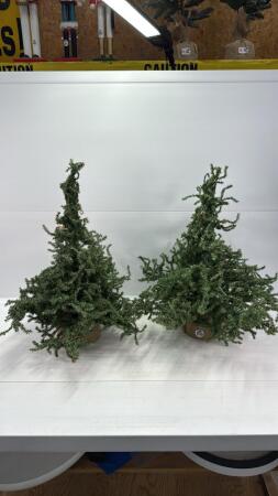 (2) ARTIFICAL CHRISTMAS TREES