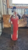 Amway Fire Extinguisher (Charged) - 5