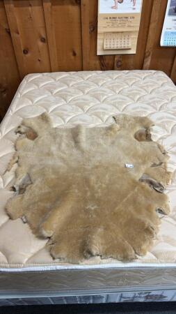 SHEEP SKIN
