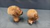 (2) AFRICAN SOAPSTONE BUSTS - 5
