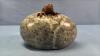 SOAPSTONE 4IN LONG ORNAMENT - 2