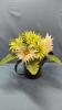 FLORAL ARRANGMENT IN METAL SPRINKLING CAN - 3