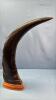 PAIR OF DECORATIVE CARVED WATER BUFFALO HORNS - 4