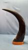 PAIR OF DECORATIVE CARVED WATER BUFFALO HORNS - 6