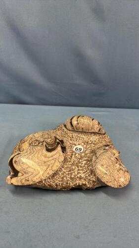 POLISHED FOSSIL LIKE PLAQUE