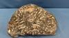 POLISHED FOSSIL LIKE PLAQUE - 6