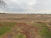 UNRESERVED 96 Acres&plusmn;: 1725 Plank Road, Sarnia - 5