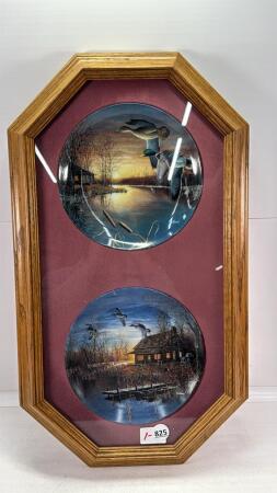 PAIR OF FRAMED DUCK PLATES