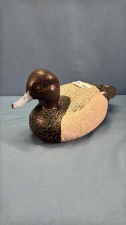 DRAKE BLUE BEAKED DUCK DECOY