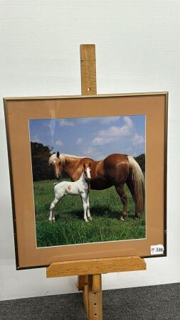 MARE & COLT PRINT