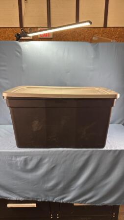 30GAL TOTE WITH LID