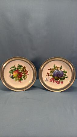 (2) MAASTRICHT 9IN CHINA PLATES WITH METAL FRAMES