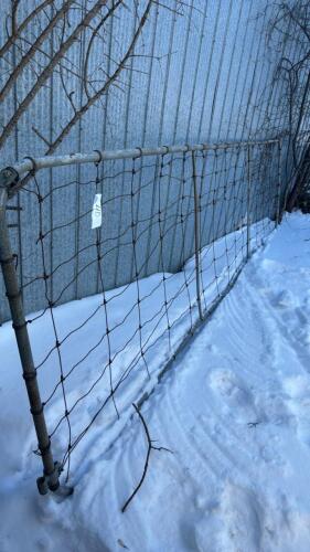 16ft Pagewire Gate