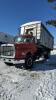 1985 Ford 8000 Diesel Truck - 9