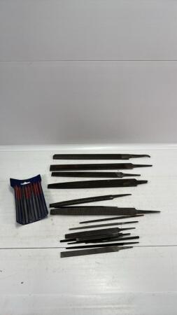 ASSORTED LOT OF FILES