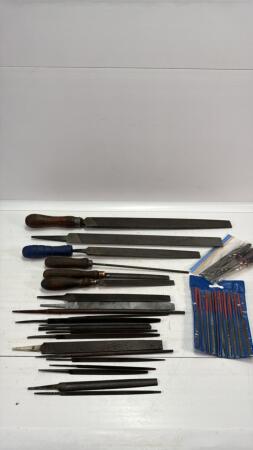 ASSORTED LOT OF FILES