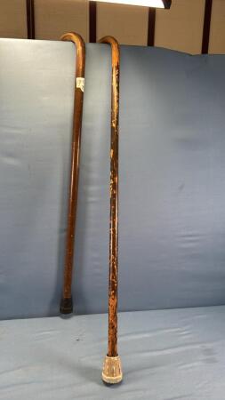 (2) CANES