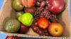 LOT OF ARTIFICAL FRUIT - 4