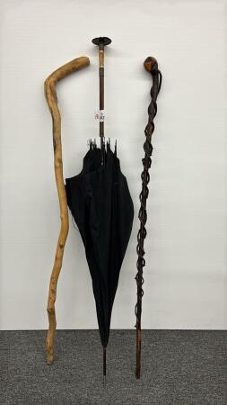 (2) CANES & OLDER UMBRELLA