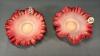 PAIR OF CASED FLUTED BOWLS - 3
