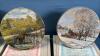 (4) PETER SNYDER PLATES - 5