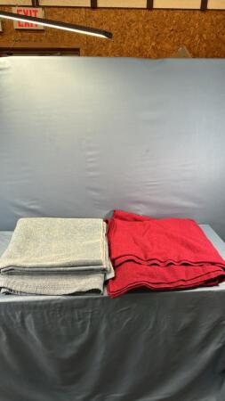 (2) FLEECE BLANKETS