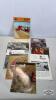 ASSORTED LOT OF CASE INTERNATIONAL SALES BROCHURES