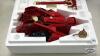 INTERNATIONAL FARMALL 560 W/2-M-H CORN PICKER - 2