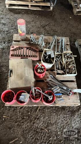 Quantity of Misc. Sockets and Wrenches and Allen Keys