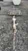 ANTIQUE HAND PUMP WATER PUMP
