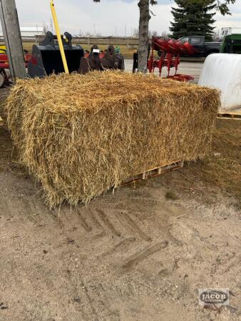 30 SQUARE 4X3X7 BALES OF 2025 1ST CUT HAY
