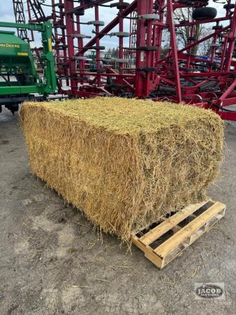23 SQUARE 3X4X6 BALES OF 2025 2ND CUT HAY