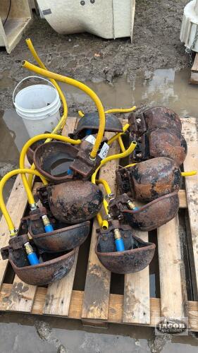 (12) STEEL WATER BOWLS