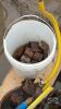 (12) STEEL WATER BOWLS - 4