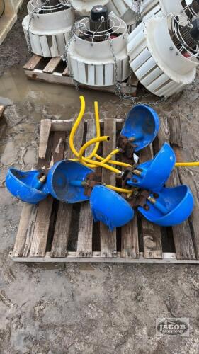 (6) POLY WATER BOWLS