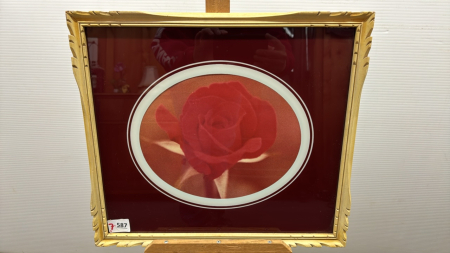 Frames Red Rose Print -Frame is 17in Wide x 15in High