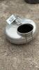 SURGE MILKER PAIL - 3