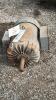 5HP 230V MOTOR - 2