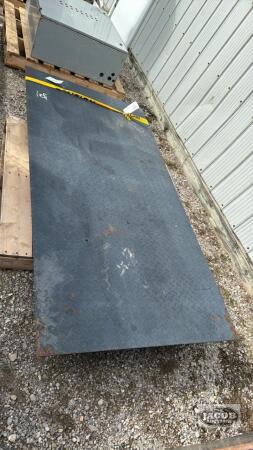 NEW PLATFORM SCALE WITH DIGITAL READ OUT