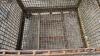 STEEL MESH CRATE - 3