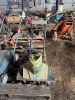 Lot of Electric Garden Equipment - 2
