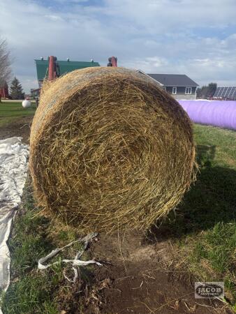 First cut hay alfalfa Timothy grass mix (no rain) wrapped dry x20