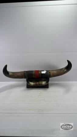 (2) SETS OF HORNS MOUNTED TO PLAQUE