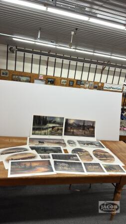 (15) DARCY SHAVER PRINTS
