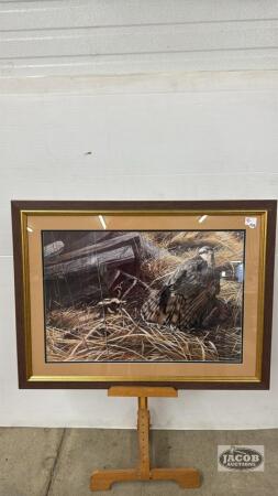 FRAMED BIRD OF PREY PRINT BY CHRISTOPHER B WALDEN