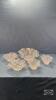 (5) FROSTED FLUTED GLASS BOWLS