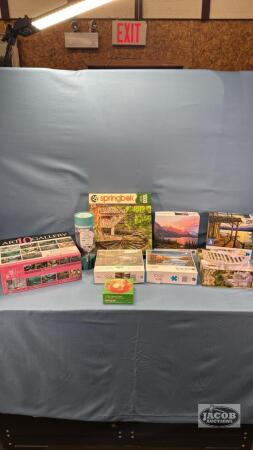 (9) ASSORTED PUZZLES