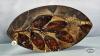 MULTI COLOURED GLASS 18IN OVAL PLATE - 5