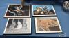 ASSORTED CAT LOT - 4